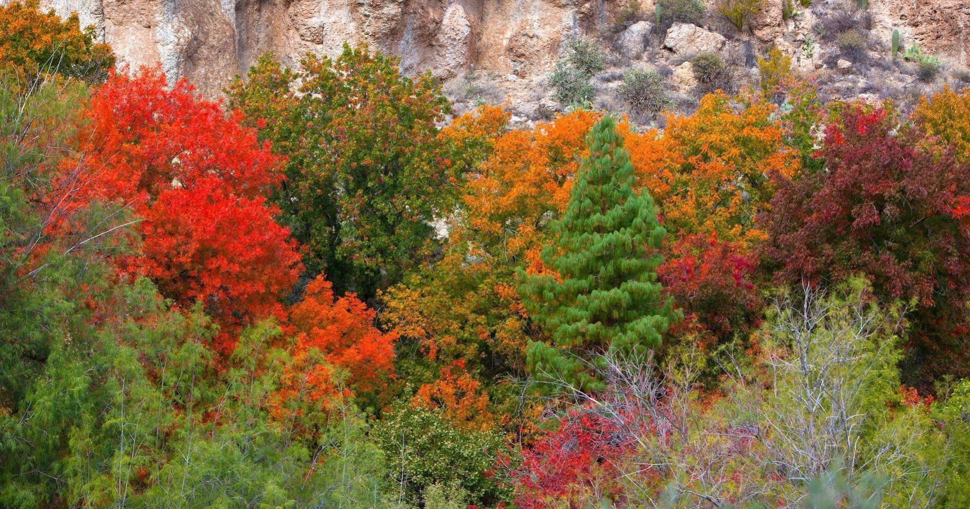 Holiday Inn Express Sedona - Oak Creek By Ihg Luaran gambar